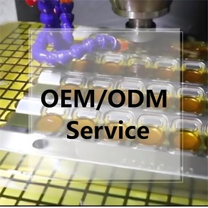 OEM/ODM Service